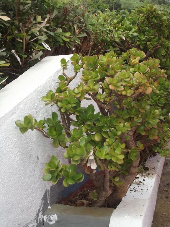 Casa De Ponta ξενώνας Topo Εξωτερικό φωτογραφία